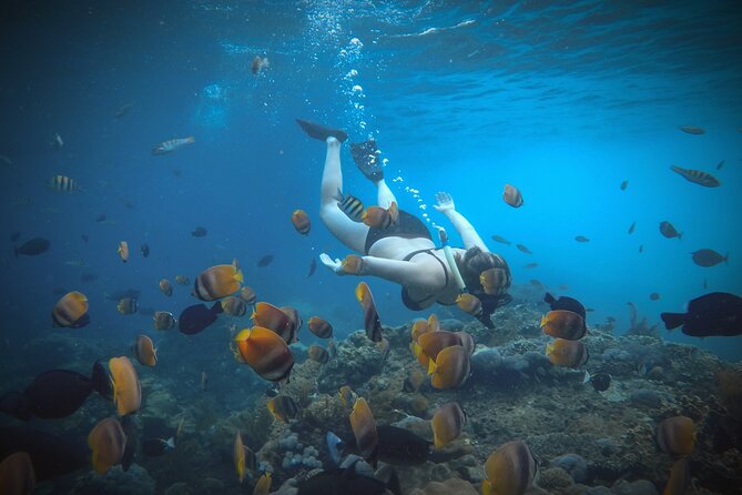 Snorkeling 4 Spots, Manta Rays, Tembeling Pool & Kelingking Beach - Kelingking Beach: the famous cliff moment that draws huge attention