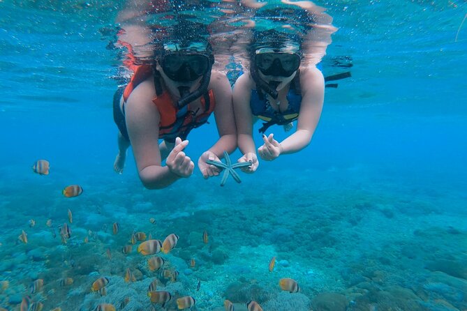 Snorkeling 4 Spots, Manta Rays, Tembeling Pool & Kelingking Beach - Snorkeling 4 spots: the real structure of your time in the water