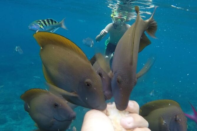Snorkeling Adventure with East Nusa Penida Tour All Inclusive - Price and Value: What $115 Really Buys You