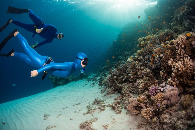 Snorkeling and Freediving Trip around Nusa Penida - Getting There and Staying Comfortable: Meet at Freedive Nusa and Prep for Choppy Water