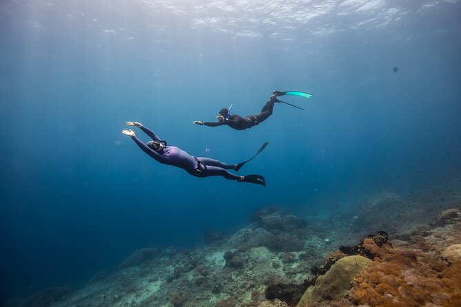 Snorkeling and Freediving Trip around Nusa Penida - Weather, Tides, and the Reality Check on Mantas