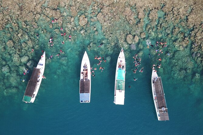 Snorkeling and Island Hopping Tour in Karimunjawa (sharing tour) - Key points before you go