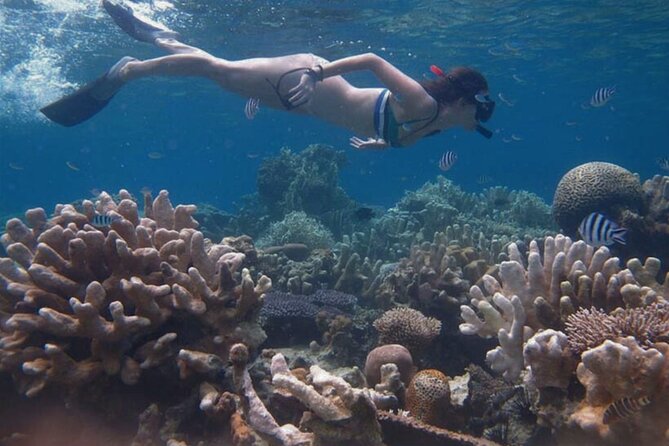 Snorkeling and Island Hopping Tour in Karimunjawa (sharing tour) - Second island experience: photos, sun, swim, and that end-of-day glow