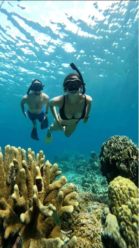 Snorkeling around 3 island & turtle sanctuary - The route: 3 island stops plus turtle time, structured like a flow