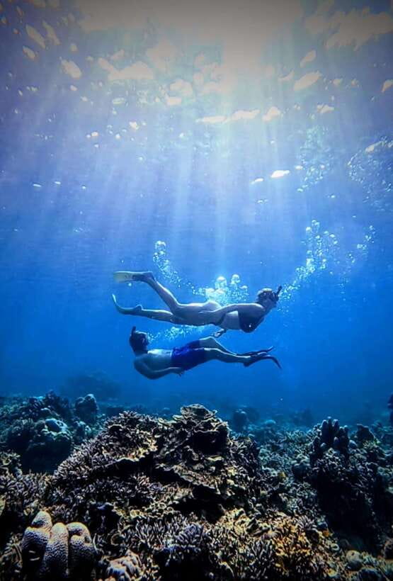 Snorkeling around 3 island & turtle sanctuary - Stop 2: Gili Meno turtle conservation and baby turtles