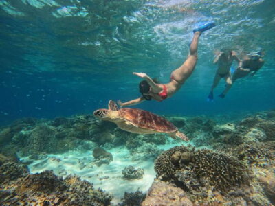 Snorkeling around 3 island & turtle sanctuary - Stop 1: the underwater statue and blue corals