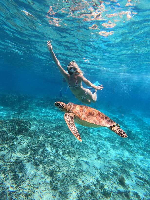 Snorkeling around 3 island & turtle sanctuary - Stop 3: Gili Air garden fish and lunch time (not included)