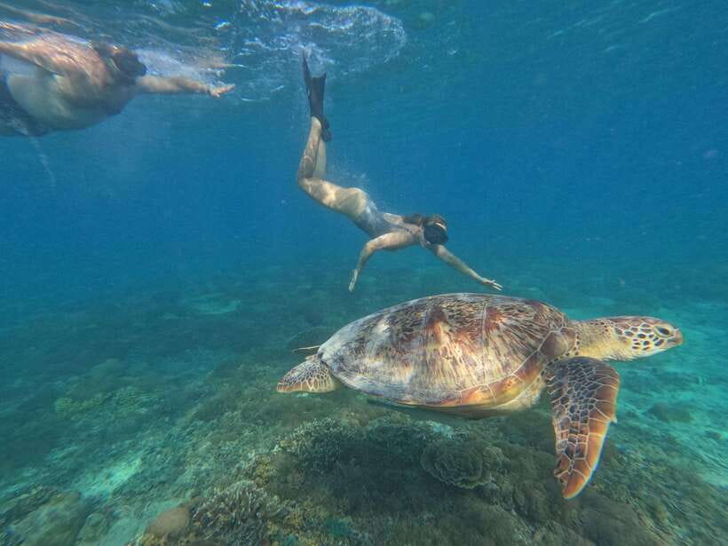 Snorkeling around 3 island & turtle sanctuary - Who this tour suits best (and who should skip)