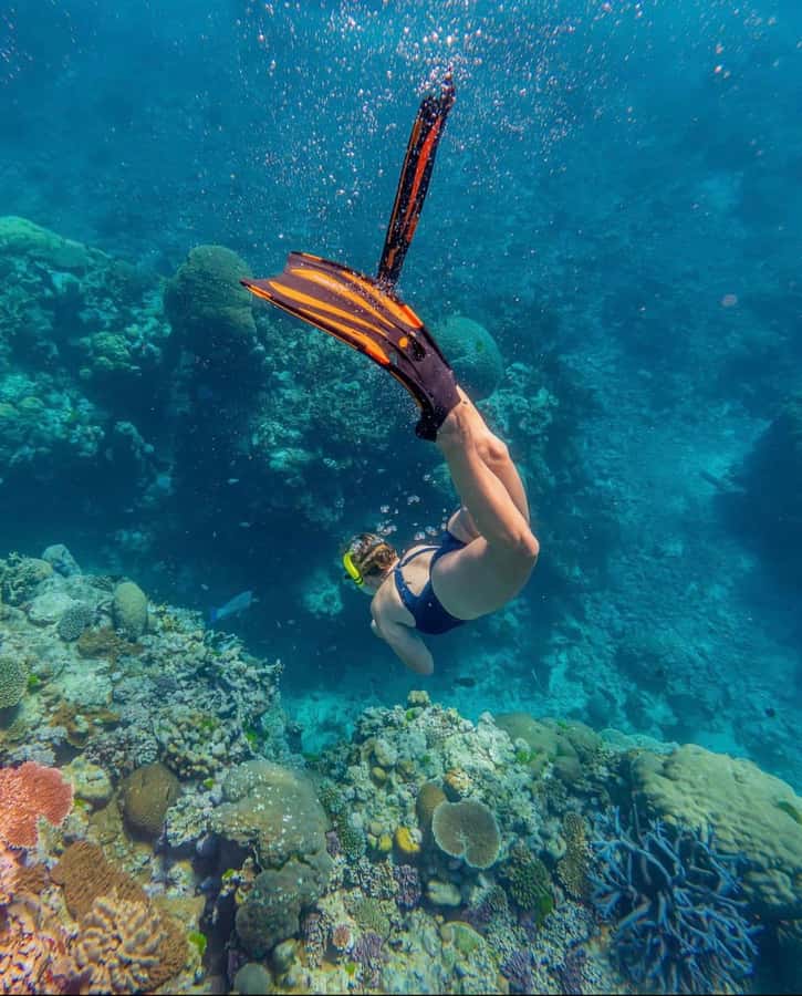 Snorkeling at Blue Lagoon, Tanjung Jepun and Waterfall - Snorkeling at Padang Bai: Where the day starts
