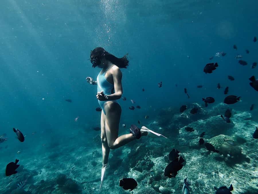 Snorkeling at Blue Lagoon, Tanjung Jepun and Waterfall - Tanjung Jepun: Nemo-style fish and a second snorkeling chance