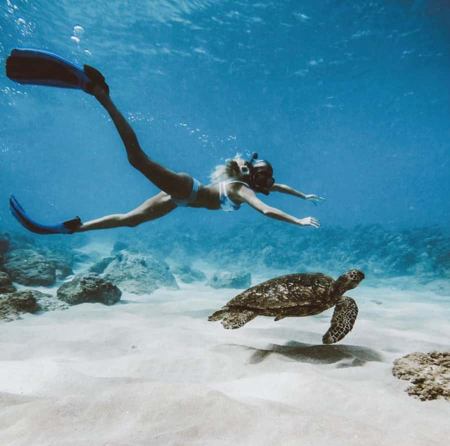 Snorkeling at Blue Lagoon, Tanjung Jepun and Waterfall - Price and value: what $67 buys you