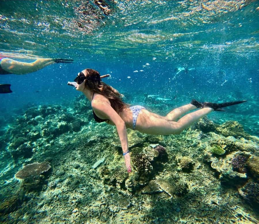 Snorkeling at Blue Lagoon, Tanjung Jepun and Waterfall - Getting there and timing: what your day will feel like