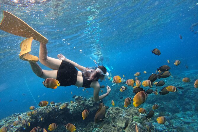 Snorkeling Day Trip To Lembongan and Penida - Key things to know before you go snorkeling on Lembongan and Penida