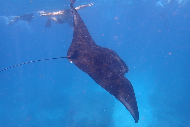 Snorkeling Day Trip To Lembongan and Penida - Stop 1 on the water plan: how snorkeling in Penida is actually decided
