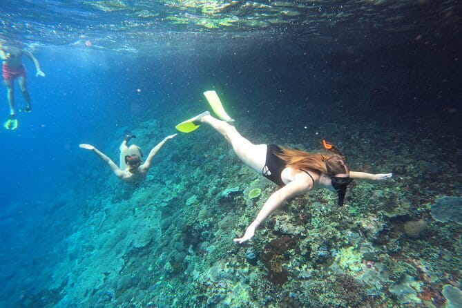 Snorkeling Day Trip to Nusa Lembongan and Nusa Penida - Key points to know before you go