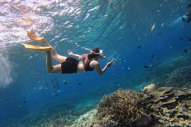 Snorkeling Day Trip to Nusa Lembongan and Nusa Penida - Sanur to Lembongan: the schedule in real-life time