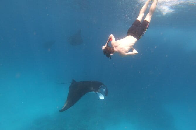 Snorkeling Day Trip to Nusa Lembongan and Nusa Penida - After snorkeling: kayaking or a Lembongan tour