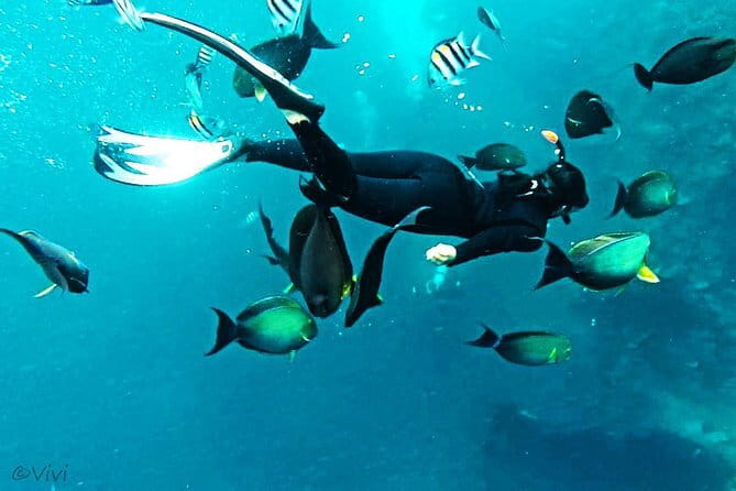 Snorkeling Day Trip to Nusa Lembongan and Nusa Penida - Where Lembongan fits in: seaweed farms, sandy beaches, and downtime