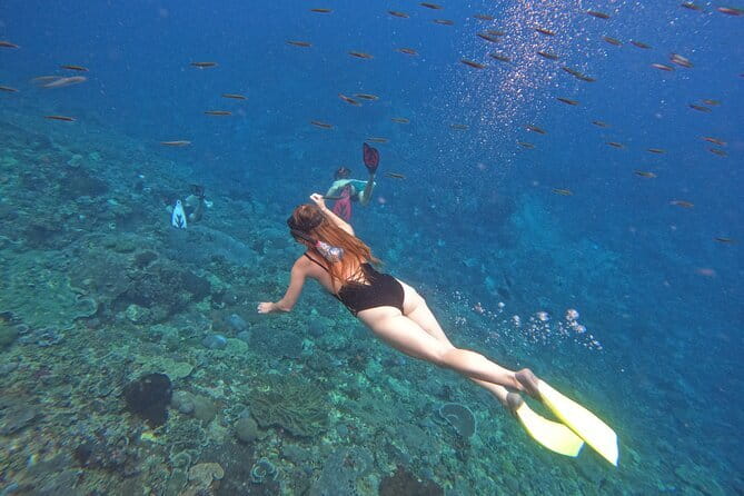 Snorkeling Day Trip to Nusa Lembongan and Nusa Penida - Three snorkel stops, plus the Manta Bay priority