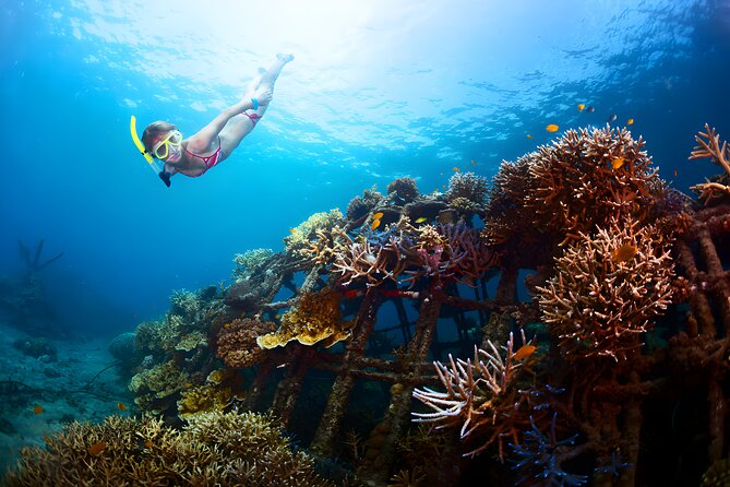 Snorkeling in Blue Lagoon Padang Bai Bali : Snorkel in the clear blue waters - Why Blue Lagoon in Padang Bai Works for First-Timers