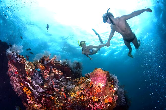 Snorkeling in Blue Lagoon Padang Bai Bali : Snorkel in the clear blue waters - What You’ll See: Coral Reefs, Tropical Fish, and Moray Eels