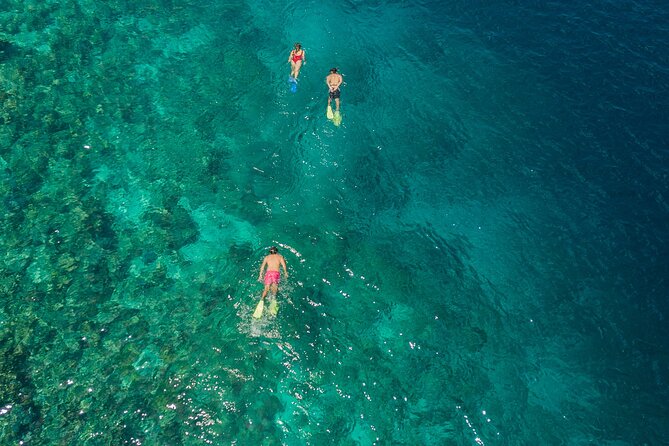 Snorkeling in Menjangan Island with Pickup and Lunch - Price and Value: What $39.73 Buys You Here