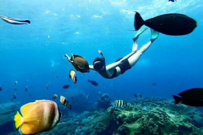 Snorkeling In Nusa Penida And Uluwatu Sunset Tours - Nusa Penida’s Manta Point: what you’re really signing up for