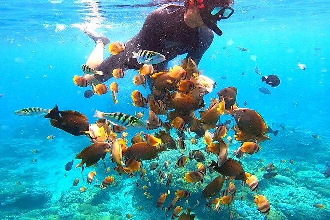 Snorkeling In Nusa Penida And Uluwatu Sunset Tours - Price and value: what you’re paying for at $180.50