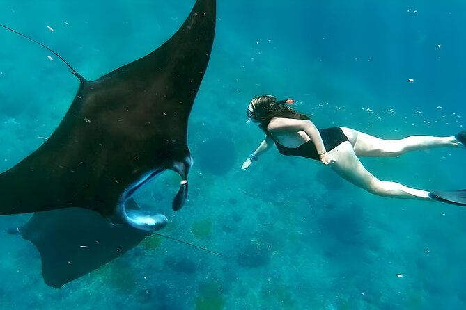 Snorkeling In Nusa Penida Departing From Bali Island - From Seminyak to Sanur: how the day gets rolling