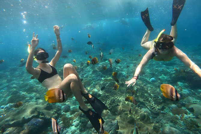 Snorkeling In Nusa Penida Departing From Bali Island - Food and what’s not included: plan for a simple, clean day