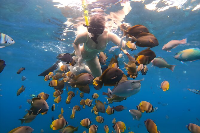 Snorkeling In Nusa Penida Departing From Bali Island - Price and value: why $104.50 can make sense here