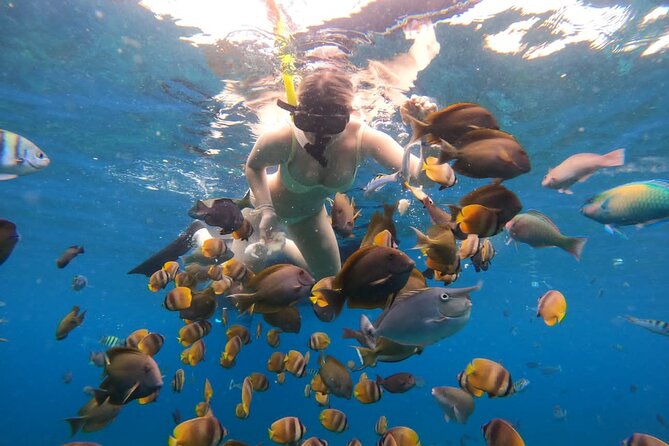 Snorkeling In Nusa Penida Island With Manta Ray From Bali - Key things I’d focus on