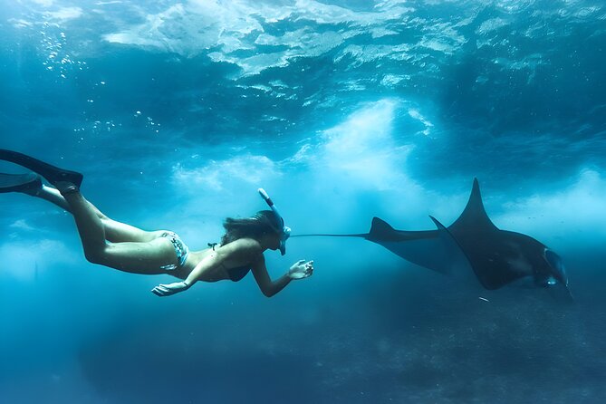 Snorkeling In Nusa Penida Island With Manta Ray From Bali - Crystal Bay / Wall Point: where the morning usually starts