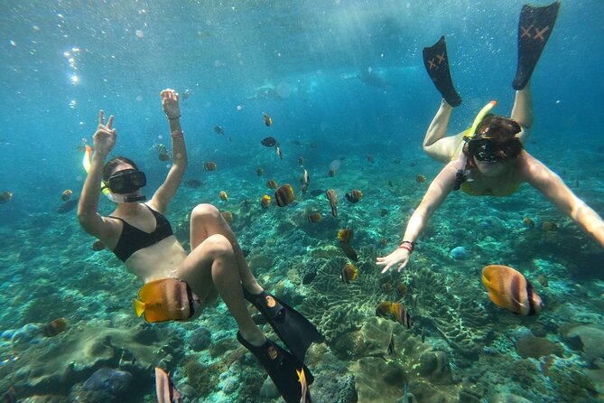 Snorkeling In Nusa Penida Island With Manta Ray From Bali - Price and value: is $100 a fair deal?