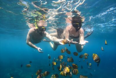 Snorkeling In Nusa Penida Island With Manta Ray From Bali - Gamat Bay: a solid reef stop between the bigger moments