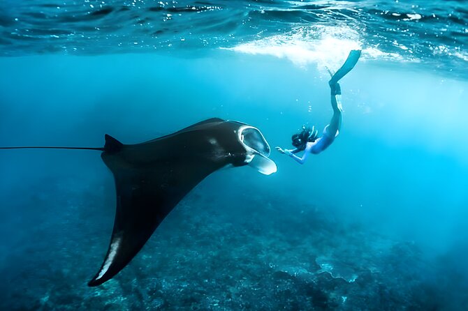Snorkeling in Wall Point, Gamat Bay and Manta Bay: Nusa Penida Island - Getting From Seminyak to Nusa Penida: Pickup and Speedboat Reality
