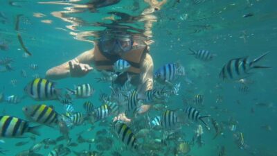 Snorkeling Kayaking Fishing Swimming Activities - Pickup in Bintan or Tanjung Pinang, then out by boat