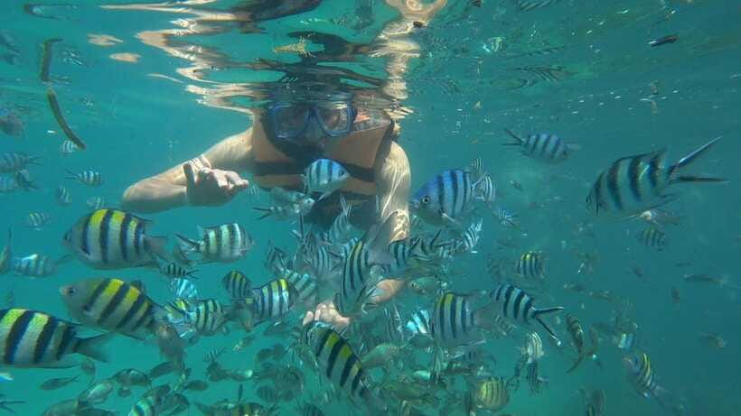 Snorkeling Kayaking Fishing Swimming Activities - Small group dynamics: why up to 7 people matters