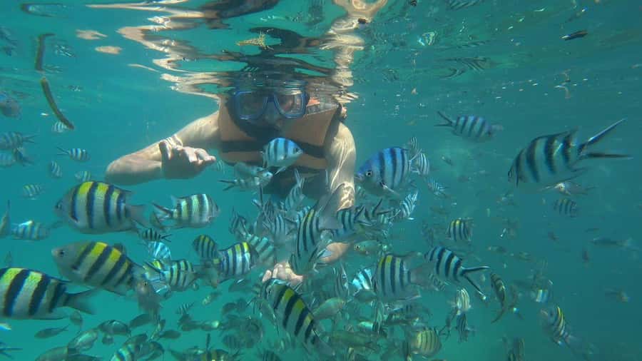 Snorkeling Kayaking Fishing Swimming Activities - Pickup in Bintan or Tanjung Pinang, then out by boat