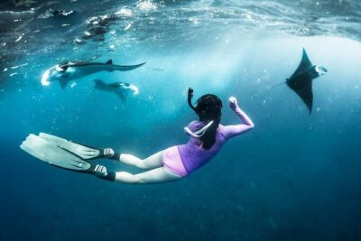 Snorkeling Manta Ray in Nusa Lembongan - The route changes with conditions: Manta Bay, Crystal Bay, Gamat Bay, Wall Point