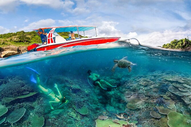 Snorkeling Manta Ray Safari in Nusa Penida - Where you meet and what Toyapakeh setup means for your day