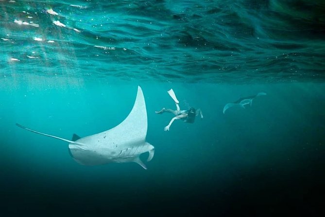 Snorkeling Manta Ray Safari in Nusa Penida - Time on the water: what 2 hours 30 minutes usually feels like