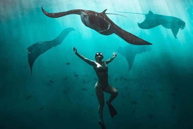 Snorkeling Nusa Penida and Island Tour Package - Wall Point: where the ocean does the talking