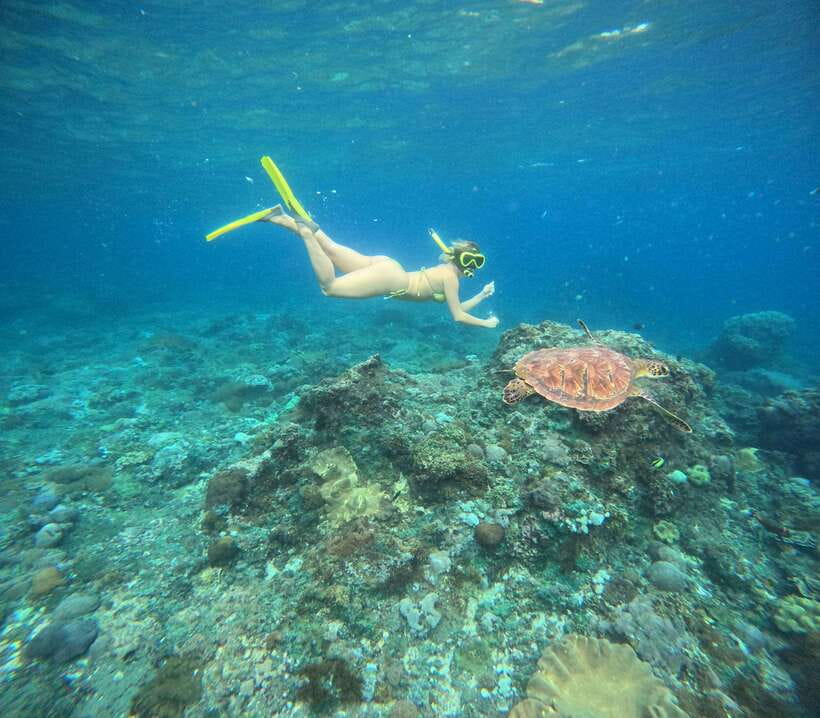Snorkeling Nusa Penida four Spots - Four Nusa Penida Spots in a 2-Hour Trip: What You’re Really Buying