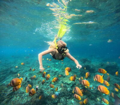 Snorkeling Nusa Penida four Spots - Meeting at Banjar Nyuh Harbor and Getting on the Sparrow Snorkeling Boat