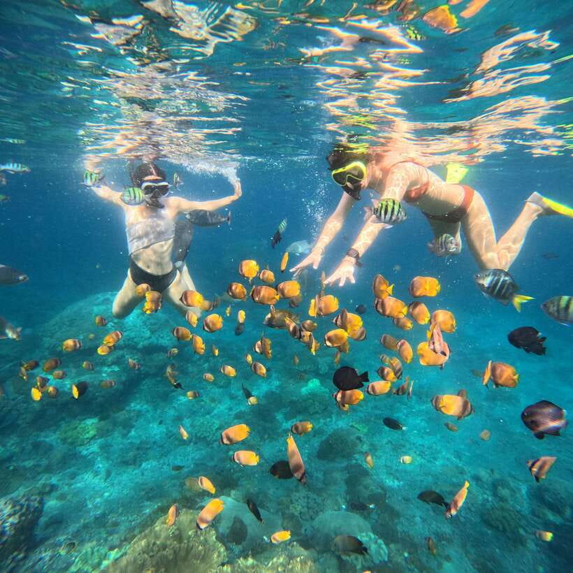 Snorkeling Nusa Penida four Spots - Crew and Boat: What “Good” Looks Like on This Route