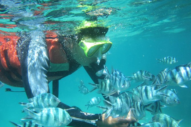 Snorkeling Tour at Blue Lagoon with Private Hotel Transfer - Who this tour is best for (and who might want something else)