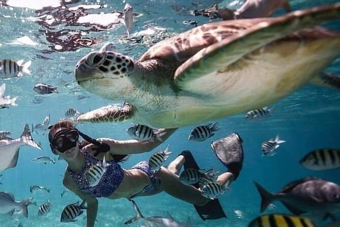 Snorkeling Tour In Gili Islands Pick Up From Lombok Or Gili - Timing and Pacing: Short Sessions That Don’t Overcook the Day