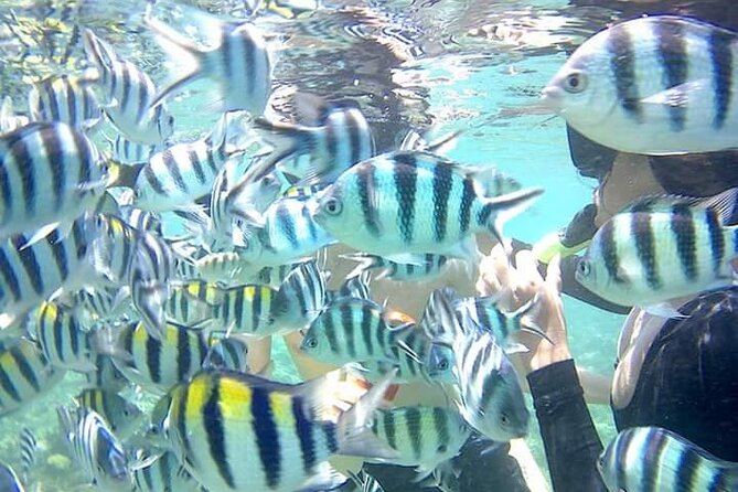 Snorkeling Tour In Gili Nanggu - Gili Sudak and Gili Kedis: why nearby stops add value