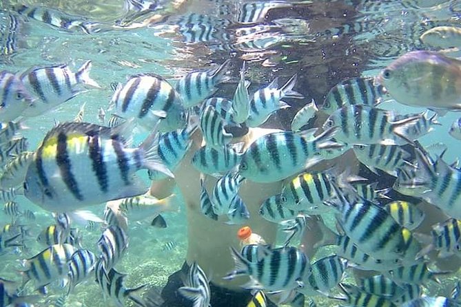 Snorkeling Tour In Gili Nanggu - The wooden boat ride: more comfort, less rushing